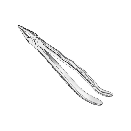 Extracting forceps, anat.